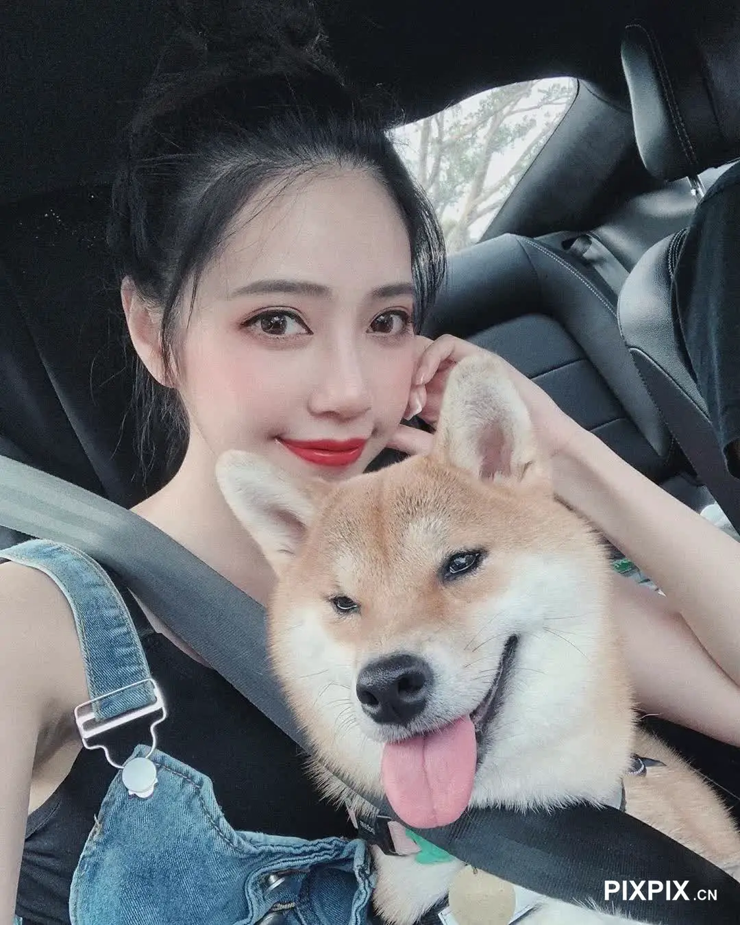 女人坐在车里，腿上抱着一只狗